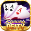 rummy room icon