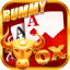 play rummy game online