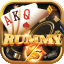 rummy cir