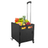 Shopping Cart Folding Portable Trolley Grocery Large