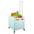 Shopping Cart Folding Portable Trolley Grocery Large