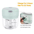 Electric Mini Garlic Chopper Food Mincer for Onion Chili Meat - millionsource