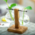 Glass Vase Air Plant Terrarium w/ Wood Stand - millionsource