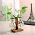 Glass Vase Air Plant Terrarium w/ Wood Stand - millionsource