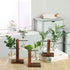 Glass Vase Air Plant Terrarium w/ Wood Stand - millionsource