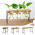 Hydroponic Plant Vase Transparent Flower Pot Wooden Frame - millionsource