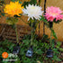 Solar Chrysanthemum Flowers Lights Garden Stake Lights Decor - millionsource