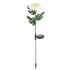 Solar Chrysanthemum Flowers Lights Garden Stake Lights Decor - millionsource