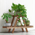 Wood Plant stand Multi Tier Flower Shelves Flower Pot Organizer - millionsource