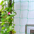 Heavy Duty Trellis Netting Garden Plant Support Net - millionsource