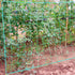 Heavy Duty Trellis Netting Garden Plant Support Net - millionsource