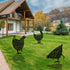 5Pcs Chicken Yard Art Outdoor Metal Statue Decor Garden Stakes - millionsource